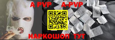 твердый Кингисепп