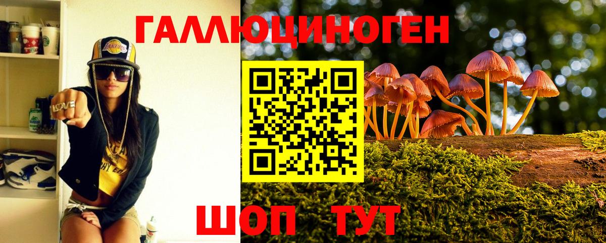 Кушва  Псилоцибиновые грибы Cubensis  Вход с VPN 